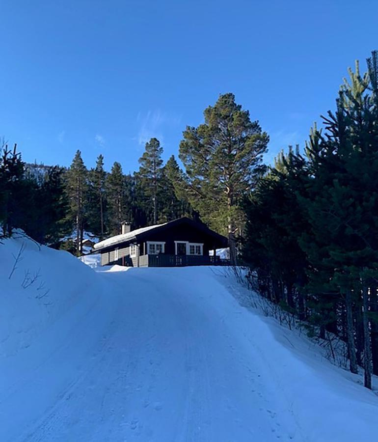 Sonstebo Uvdalhytta - Close To Cross Country And Downhill Skiing מראה חיצוני תמונה